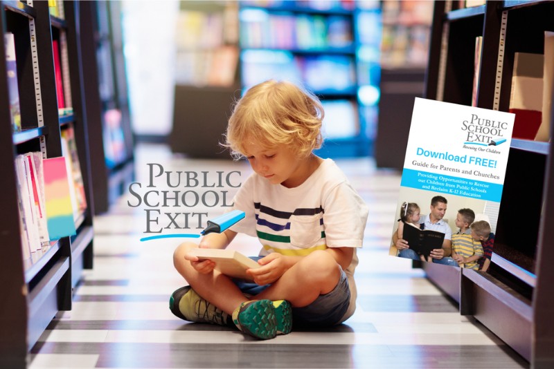 2025 PSE BANNER 1 (800 x 534 px)